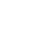 mvg